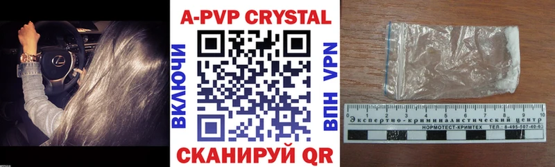 A PVP СК КРИС Сегежа