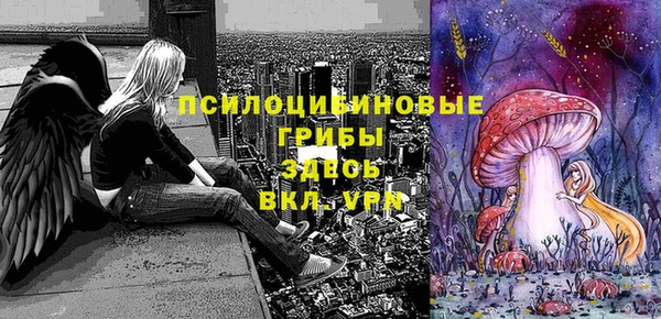 бошки Балахна